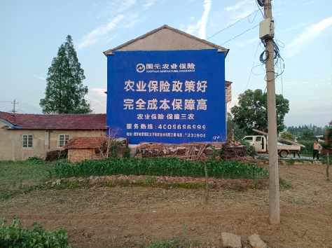 泸溪县墙体广告的优劣势你知道吗？