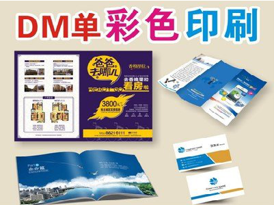 泸溪县单页印刷，色彩搭配简单。